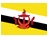 Flag Brunei