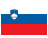 Flag Slovakia